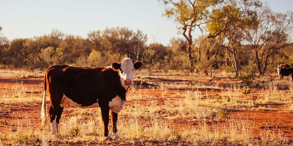 farming with figured