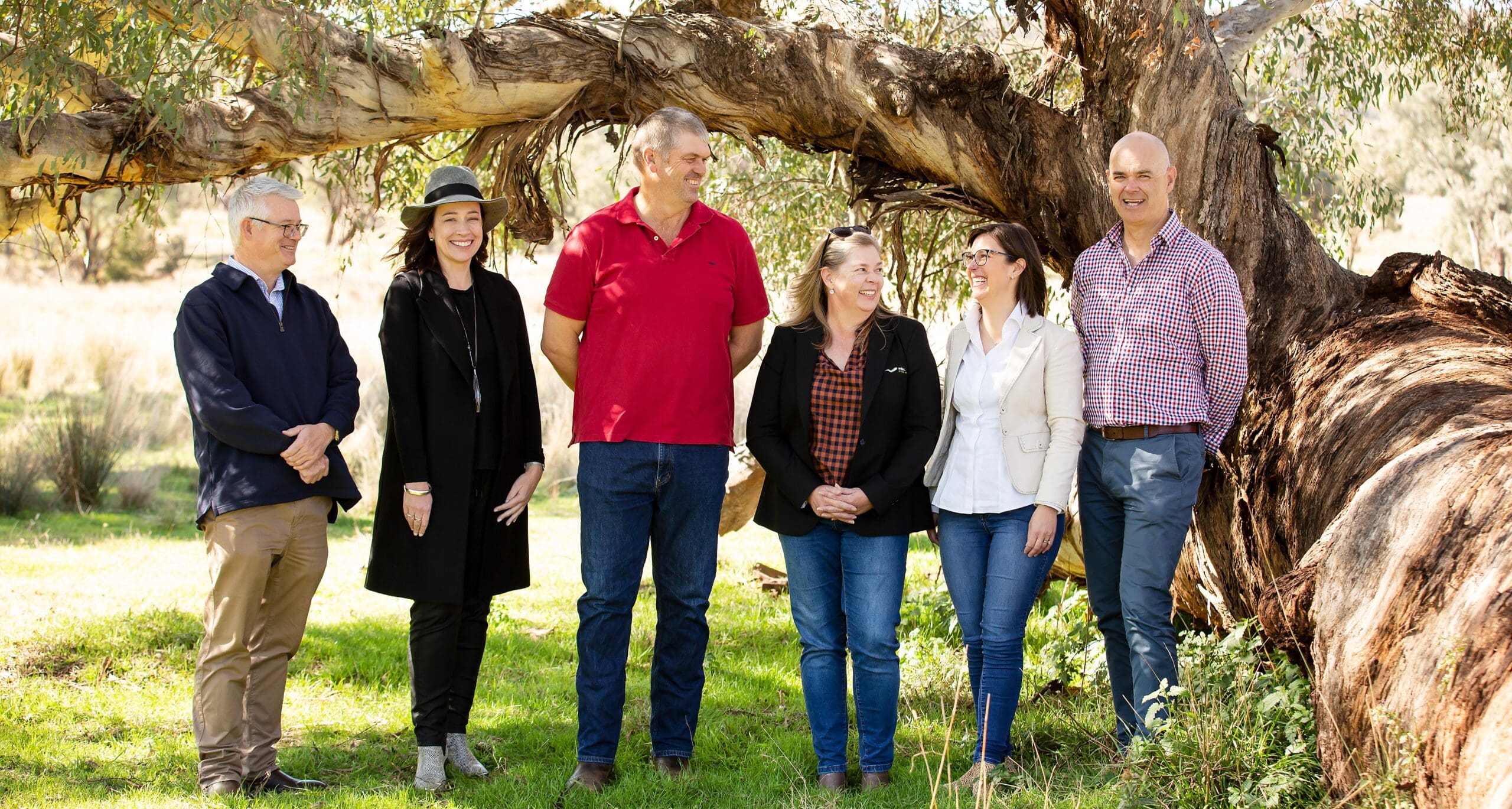 About MBC Group Services