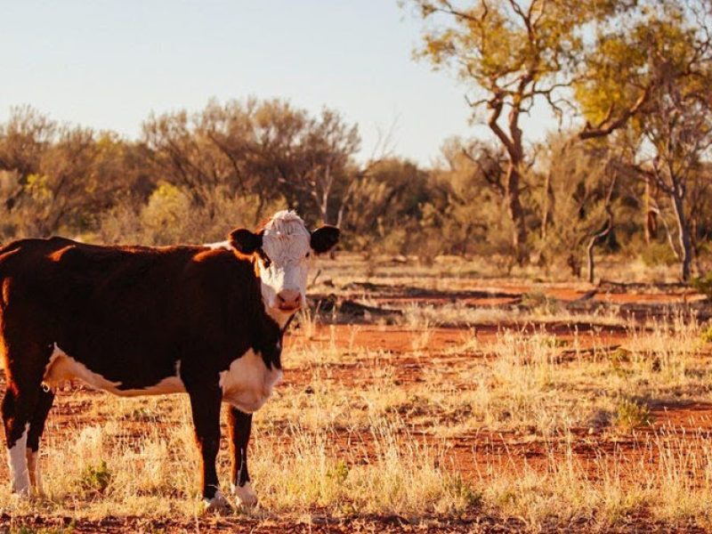 farming with figured