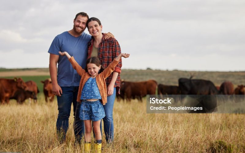 Happy family standing on a farm, cow in background and with a vision for growth in industry portrait. Countryside couple, people or farmer in a field of grass, cattle and free range livestock animals