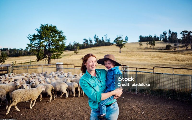 In the embrace of a tight-knit family, a resilient female farmer in Tasmania imparts the essence of sustainability and love for the land, weaving together the threads of agriculture, family values, and the care of their beloved sheep on their Australian farm.