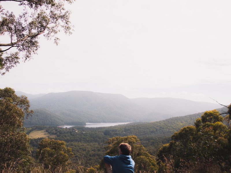 Photo by Pat Whelen - Unsplash.